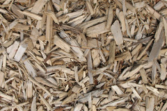 biomass boilers Plashett