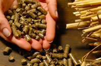 free Plashett biomass boiler quotes